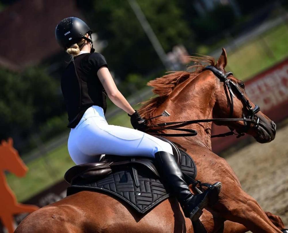 Rider in white breeches jumping a chestnut horse during an outdoor equestrian training session Cavaletti Collection.